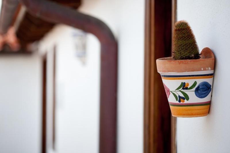 Hotelito El Tejado 布埃纳维斯塔城北 外观 照片